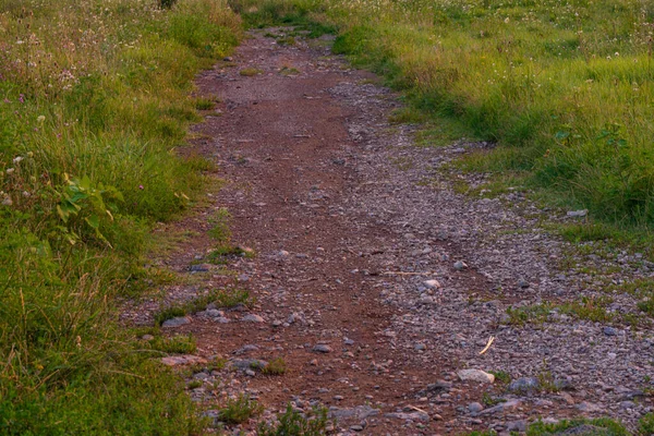 Camino Las Montañas Carfacia Atardecer — Foto de Stock