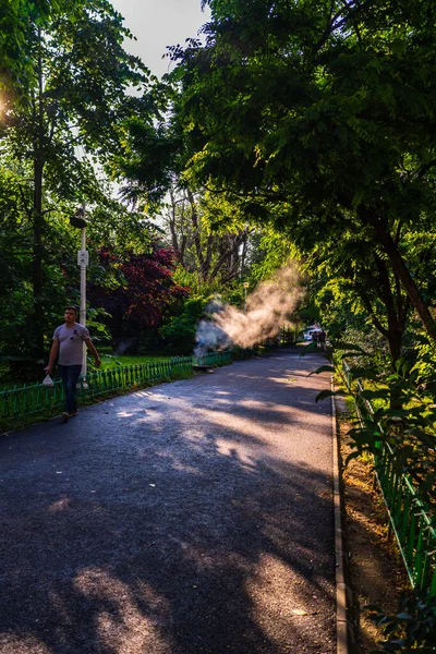 Vicolo Vuoto Nel Parco Cismigiu Bucarest Capitale Della Romania — Foto Stock