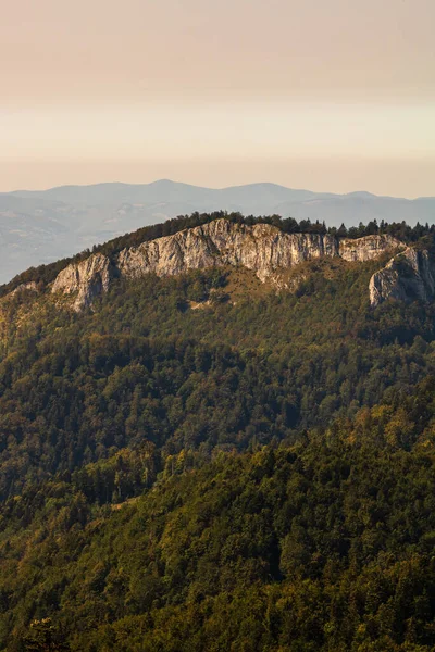 Zöld Hegyi Erdő Táj Gyönyörű Természet Alpesi Rétek Bihar Románia — Stock Fotó