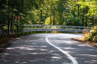 Güneşli bir günde ağaçların arasındaki dağ yolunun arabasının ön camından bak..