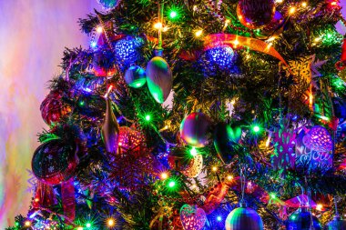 Noel ağacında Noel ışıklarıyla süslenmiş.