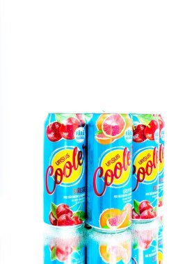 Bükreş, Romanya 'da Ursus Cooler bira kutusu, 2021