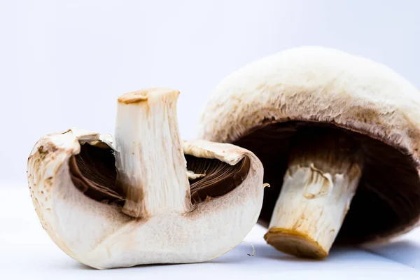 Fresh Champignons Champignon Mushrooms Close Isolated — Stock Photo, Image
