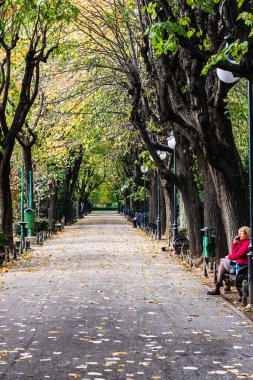 Romanya 'nın başkenti Bükreş' teki Cismigiu parkındaki insanlar, 2021