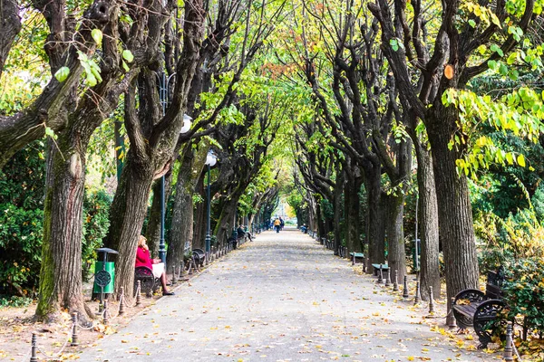 Romanya 'nın başkenti Bükreş' teki Cismigiu parkındaki insanlar, 2021