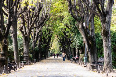 Romanya 'nın başkenti Bükreş' teki Cismigiu parkındaki boş sokak