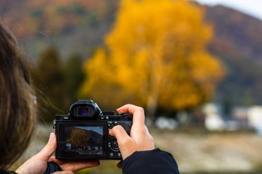 2020 'de Romanya' nın Orsova kentindeki bir parkın sonbahar renklerinin, bir sonbahar ağacının fotoğraflarını çeken kız.
