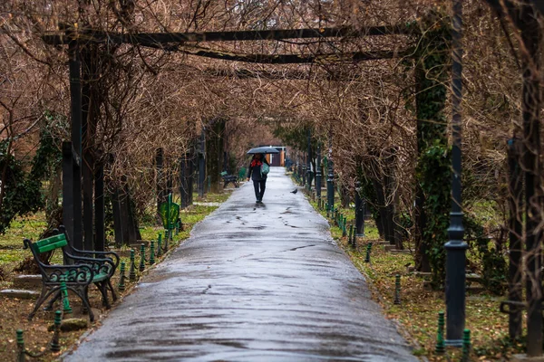 ルーマニアの首都ブカレストにあるCismiiu公園の空の路地 — ストック写真