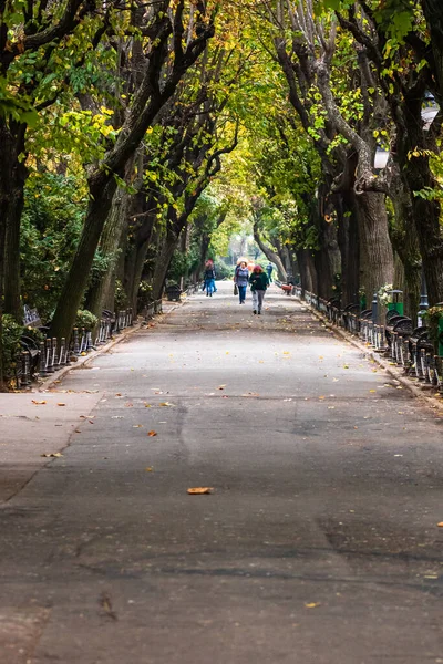 罗马尼亚首都布加勒斯特Cismigiu公园的空巷 — 图库照片