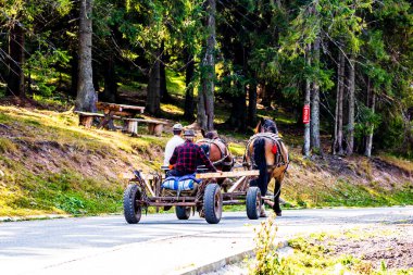Romanya 'nın Bihor kentindeki dağ yolunda at arabası, 2021