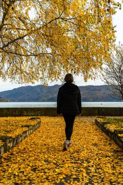 Sonbahar yaprakları sonbahar sokağında yalnız başına yürüyen kadının üzerine düşer. Romanya 'nın Orsova kentindeki bir parkta sonbahar manzarası, turuncu yapraklar, 2020