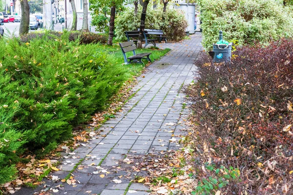 Herbst Park Herbstliche Landschaft Mit Braunen Blättern — Stockfoto