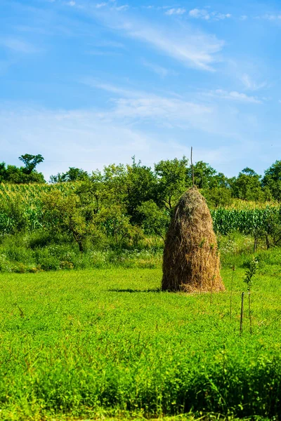 Hagyományos Kelet Európai Szénakazal Mezőn — Stock Fotó