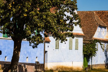 Romanya 'daki Viscri köyünün manzarası. Romanya 'nın Viscri kentindeki ortaçağ Sakson köyündeki geleneksel evleri boyamış.