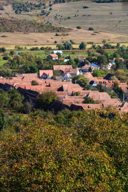 Romanya 'da bitki örtüsü, tarlaları ve evleri olan bir kırsal alan manzarası.