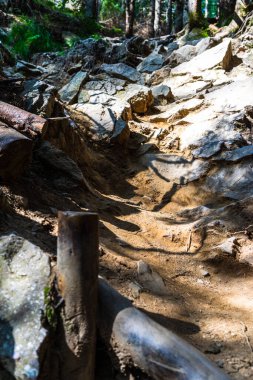 Yürüyüş, dağ orman yolu manzarası. Ormanda zorlu bir patika üzerinde gün ışığı