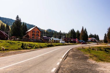 Romanya 'nın Bihor kentindeki dağlık yol kenar evleri ve ağaçların manzarası, 2021