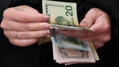 Amerikan Doları 'nı saymak ve göstermek. USD banknotları sayılıyor