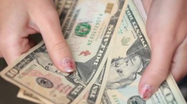 Amerikan Doları 'nı saymak ve göstermek. USD banknotları sayılıyor