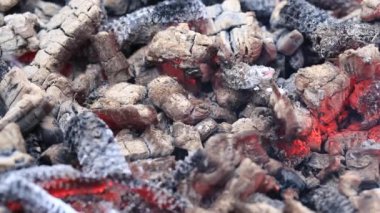 Yanan odun parçaları kömür oluşturur. Barbekü hazırlığı, pişirmeden önce ateş.
