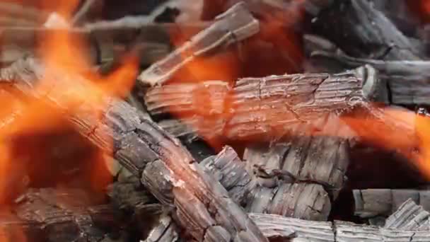 Płonące Kawałki Drewna Tworzące Węgiel Przygotowanie Grilla Ogień Przed Gotowaniem — Wideo stockowe