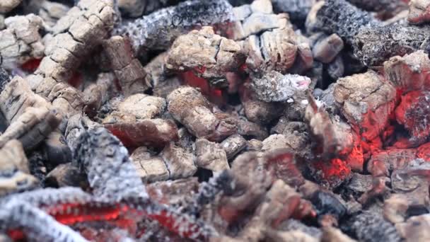 Burning Wood Chips Forming Coal Barbecue Preparation Fire Cooking — Stock Video