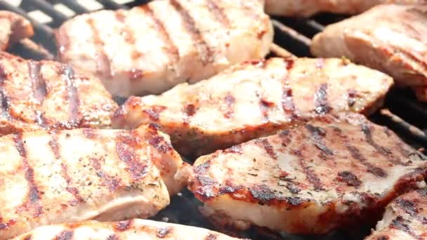 Braten Saftige Fleischsteak Mit Gewürzen Und Kräutern Brennenden Kohlen Feuer — Stockvideo