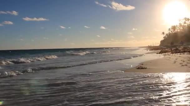 버뮤다 해밀턴의 목가적 해변의 파도와 — 비디오