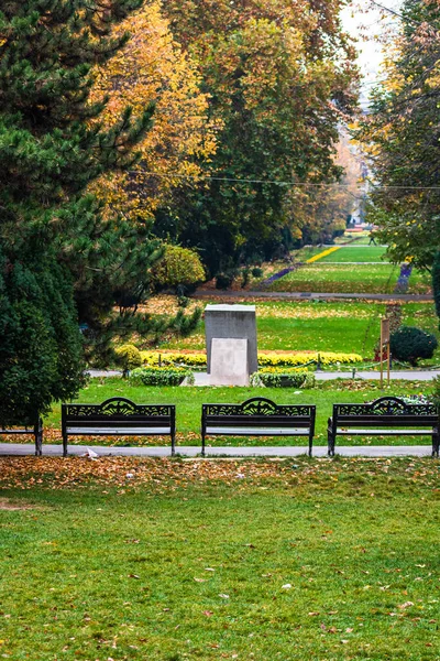 Autumn Park Autumn Scenery Brown Leaves — Stock Photo, Image