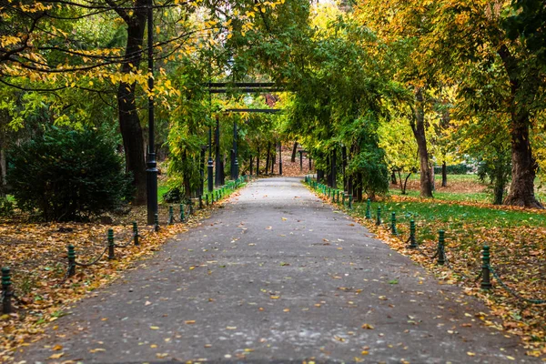 Ruelle Vide Dans Parc Cismigiu Bucarest Capitale Roumanie — Photo