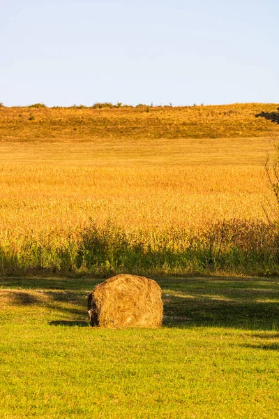 Balles Foin Doré Parcelles Agricoles Différentes Cultures Rouleau Foin — Photo