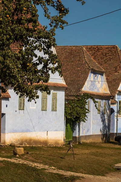 Vista Del Pintoresco Pueblo Viscri Rumania Casas Antiguas Tradicionales Pintadas — Foto de Stock