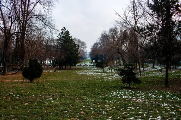Cena Inverno Parque Cismigiu Bucareste Cismigiu Gardens Localizado Centro Bucareste — Fotografia de Stock