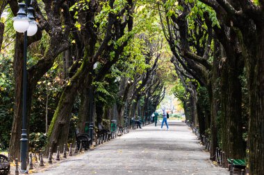Romanya 'nın başkenti Bükreş' teki Cismigiu parkındaki boş sokak