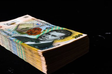 Bir yığın LEI Romanya parası. RON Leu Para Avrupa Para Birimi