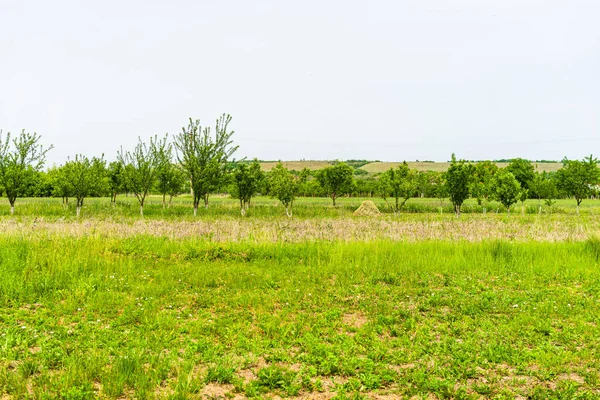 Vidéki Földművelés Földművelésre Előkészített Terület Mezőgazdasági Koncepció — Stock Fotó