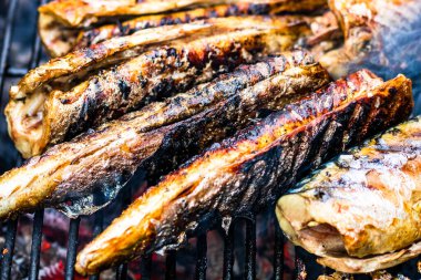 Kömür ızgarasında ızgara balık. Taze balık barbeküsü.