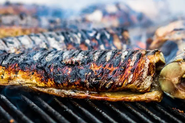 Grilled Fish Charcoal Grill Fresh Fish Barbecue — Stock Photo, Image