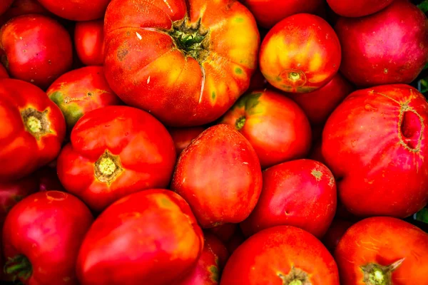 農家は自然な熟したトマトを販売しています フレッシュレッドトマト — ストック写真