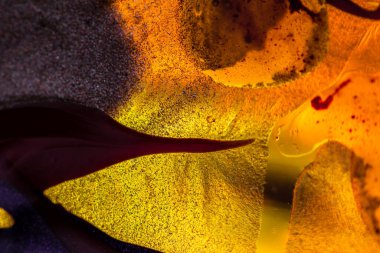 Su yüzeyinde yağ damlaları ve dalgaları olan soyut renkli arkaplan. Soyut arkaplan kavramı