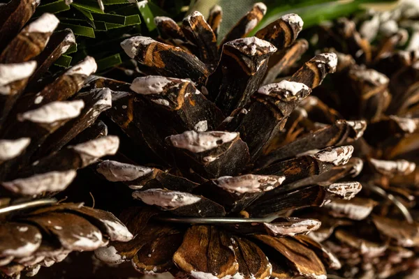 Christmas Decorations Christmas Concept Close Photo Christmas Pine Cone — Stock Photo, Image