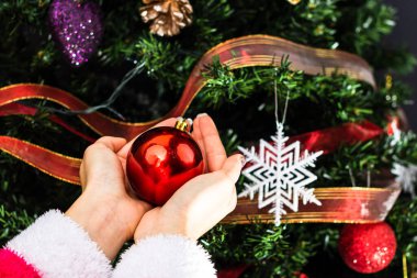 Noel ağacının önünde Noel süsü tutan eller. Noel süslemeleri ile köknar dallarını süslemek.