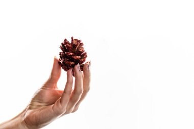 Beyaz arka planda Noel süsleri tutmak