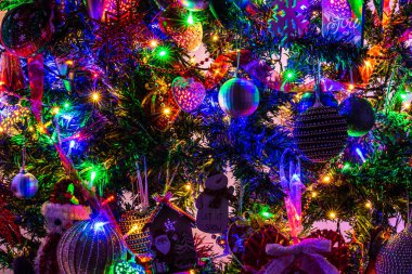 Noel ağacında Noel ışıklarıyla süslenmiş.