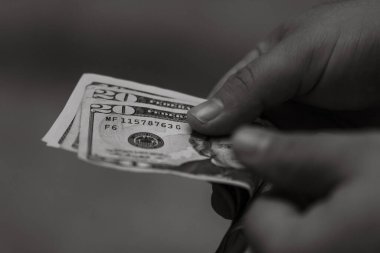 Para siyah ve beyaz. Paranın ayrıntıları