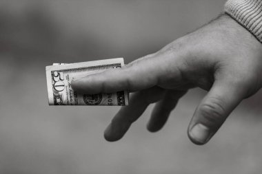 Para siyah ve beyaz. Paranın ayrıntıları