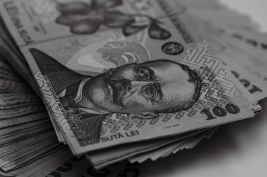 Romanya LEI parası. Romanya LEI para birimi