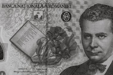 Romanya LEI parası. Romanya LEI para birimi
