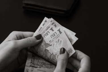 Romanya LEI parası. Romanya LEI para birimi