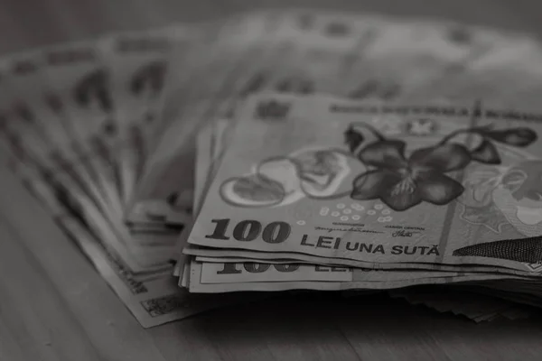 Rumunia Pieniądze Lei Rumuńska Waluta Lei — Zdjęcie stockowe